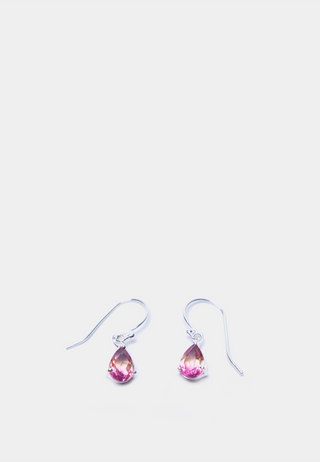 Kiara Bio Ametrine Quartz Stone Earrings Purple Silver